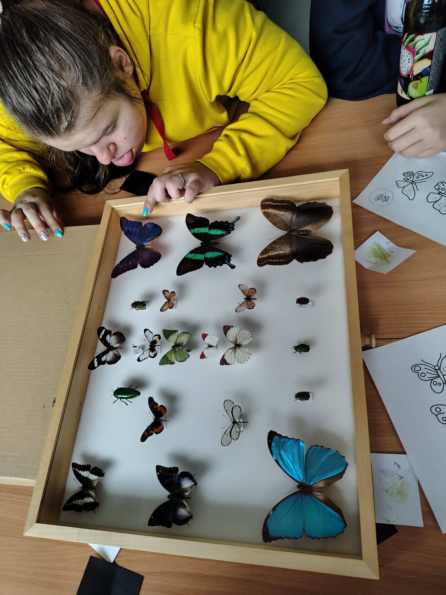 618227160_1450801270381844_6023915064365675497_n