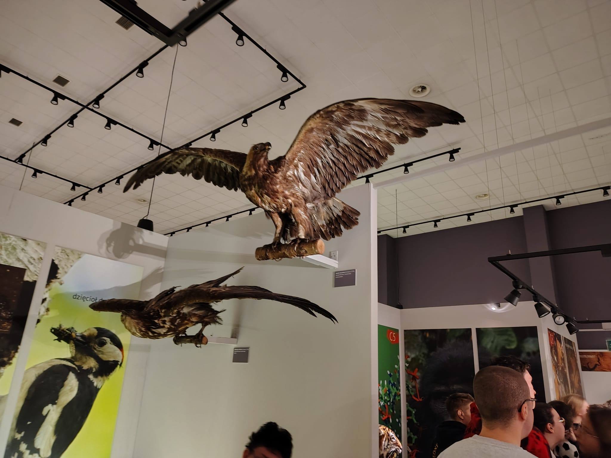 618384006_1450801517048486_3767268597493110203_n