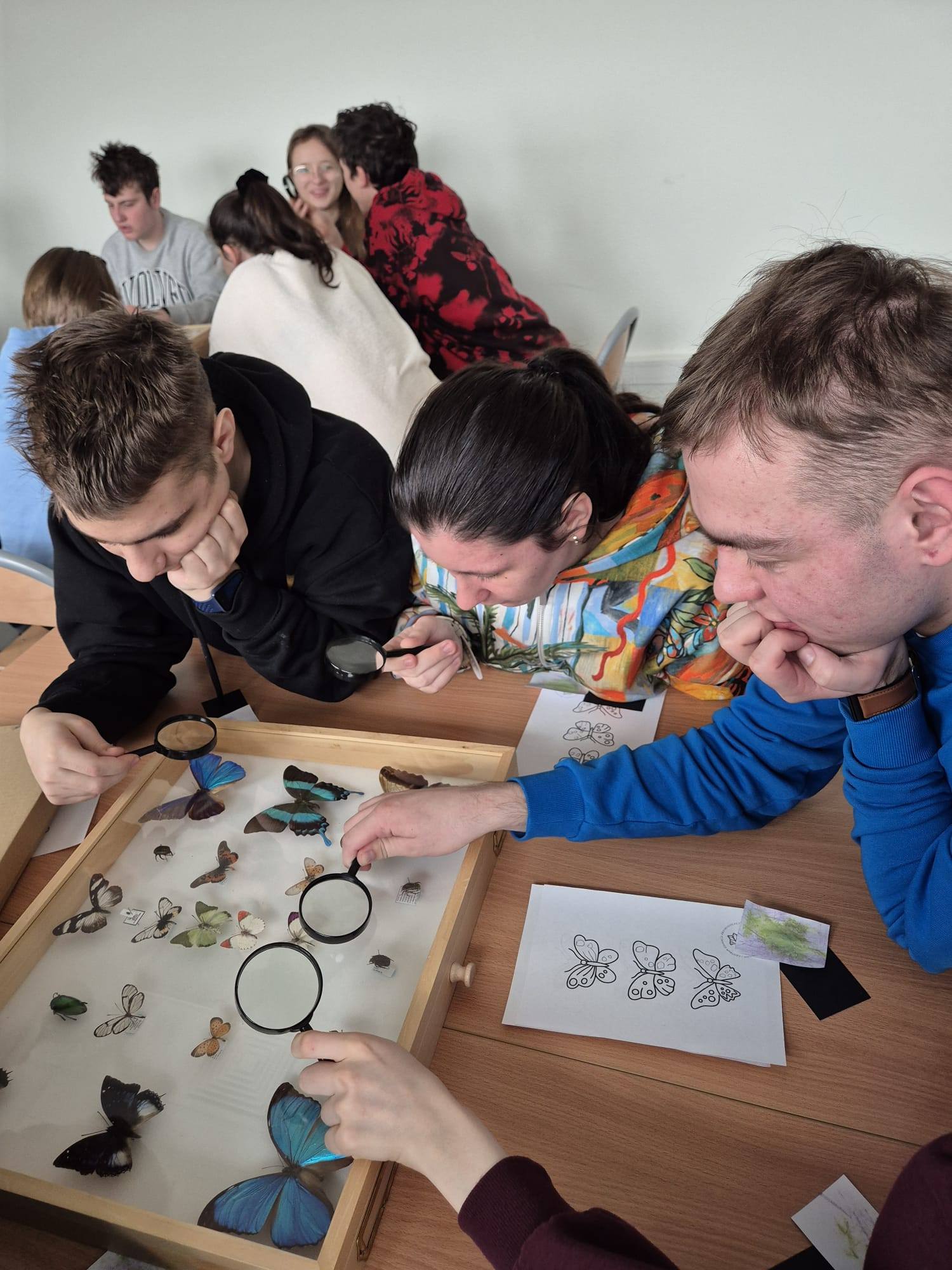 619003350_1450801187048519_5454312974477211443_n