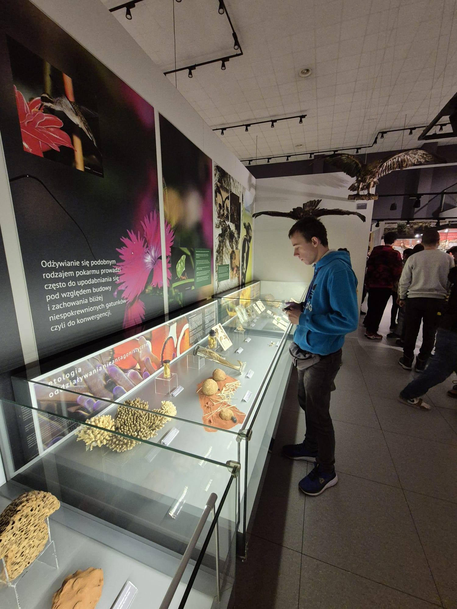 619434578_1450801310381840_5497188364151945395_n